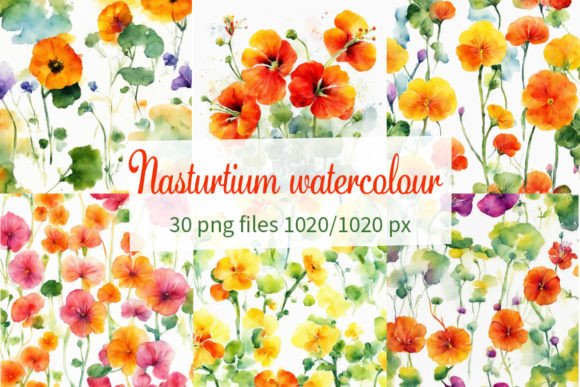 Nasturtium Watercolour: A Guide to This Vibrant Display Font
